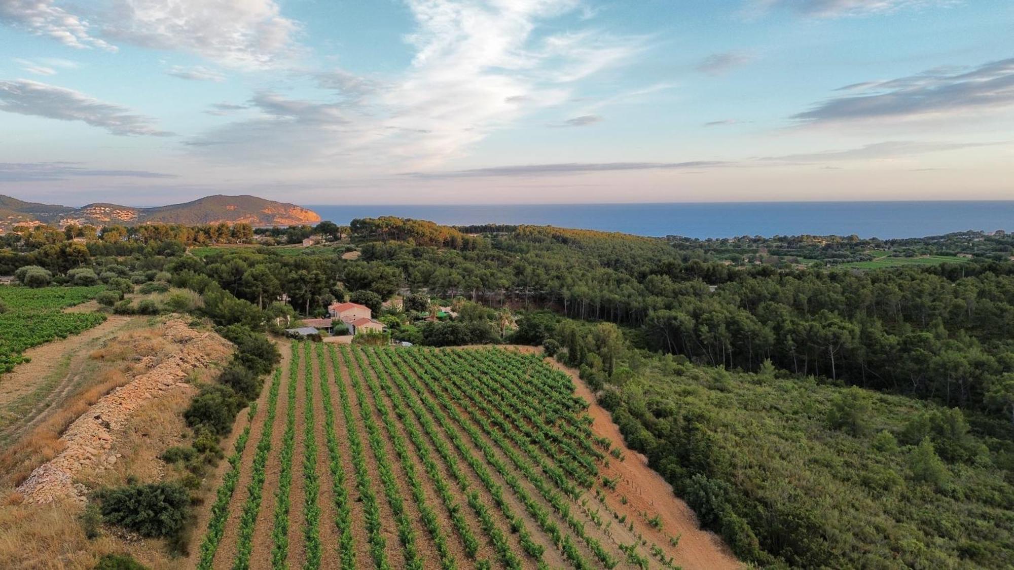 Gîte Vue Mer La Cadiere-d'Azur Eksteriør bilde